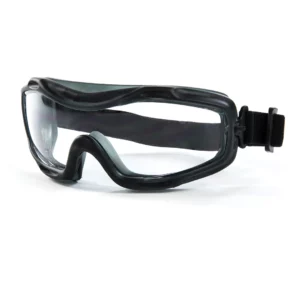 Pr Riley Arezzo Clear Safety Goggle