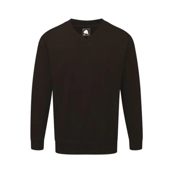 Buzzard V Neck Sweatshirt